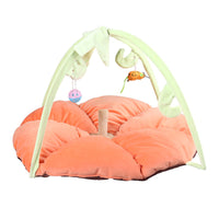 HKM-072851 Cat playing bed