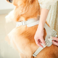 HKM-073427 Adjustable Harness Vest for Large and Small Dogs – Comfortable Fit and Durable Material