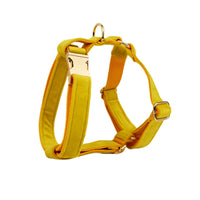 HKM-073747 Velvet Fabric Dog Collar with Leash, Bow, Flower, Vest, and Poop Bag Included
