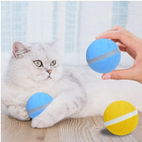 HKM-074003 Smart Pet Toy Ball USB Charging