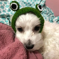 HKM-074387 Knitted Wool Frog Pet Hat, Cartoon Headdress for Dogs and Cats, Sizes S and M