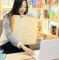 HKM-074515 Turkish Microfiber Plush Pet Cushion - Available in 40x40, 60x60, and 80x80 cm