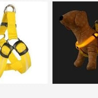 HKM-074579 LED Light-Up Pet Harness and Leash for Medium to Large Dogs - Various Colors Available