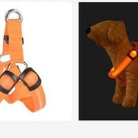 HKM-074579 LED Light-Up Pet Harness and Leash for Medium to Large Dogs - Various Colors Available