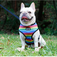 HKM-078035 Rainbow Striped Chest Strap - Breathable Sandwich Mesh, Available in S, M, L Sizes