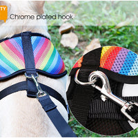 HKM-078035 Rainbow Striped Chest Strap - Breathable Sandwich Mesh, Available in S, M, L Sizes