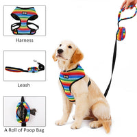 HKM-078035 Rainbow Striped Chest Strap - Breathable Sandwich Mesh, Available in S, M, L Sizes
