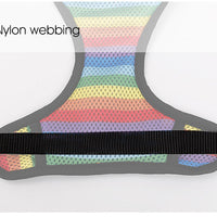 HKM-078035 Rainbow Striped Chest Strap - Breathable Sandwich Mesh, Available in S, M, L Sizes