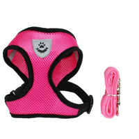 HKM-078547 Pet Car Seat Belt Pet Leash