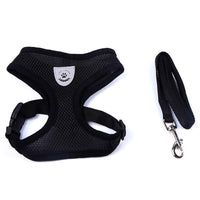 HKM-078547 Pet Car Seat Belt Pet Leash