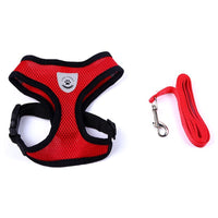 HKM-078547 Pet Car Seat Belt Pet Leash