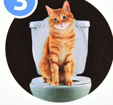 HKM-078675 Cat Toilet Training System with Removable Trays and Convenient Lighting