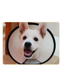 HKM-080851 Anti-Licking Cat Collar Collar Dog Pet Elizabeth Kitten Collar