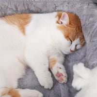 HKM-081683 Creative Net Red House Small Dog Teddy Cat Litter