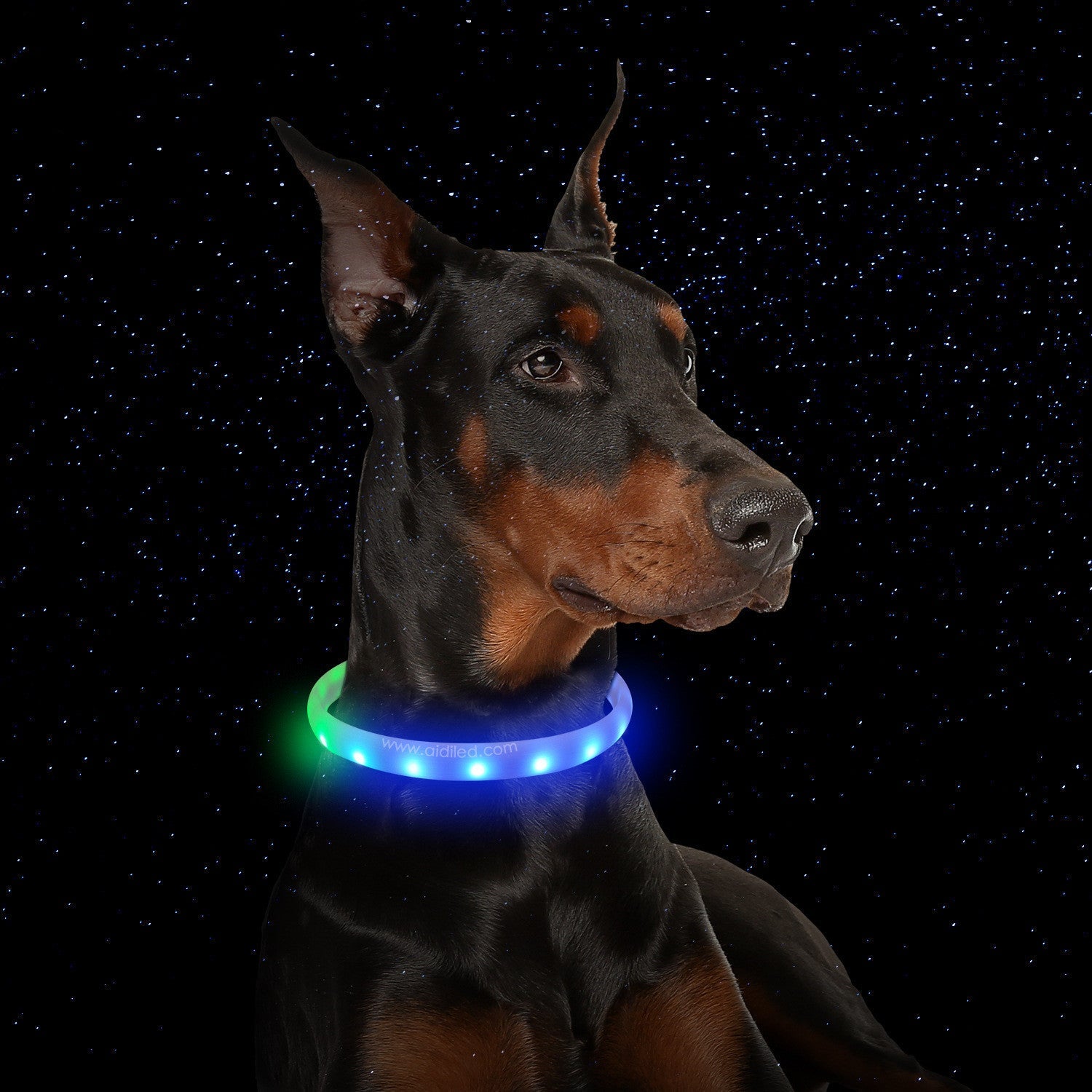 HKM-081811 Rechargeable LED Dog Collar with Adjustable Silicone Design for Night Safety