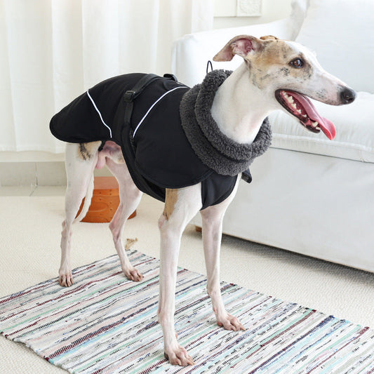 HKM-081939 Warm Cotton-Padded Pet Clothes for Autumn and Winter – Casual Style for All Sizes