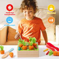 HKM-081939 Wooden Montessori Shape Sorting Puzzle Carrots Harvest Game for Kids Ages 5-14