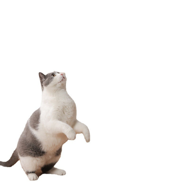 HKM-083091 Feather Cat Stick Toy with Replaceable Rod – Engaging Interactive Play for Cats