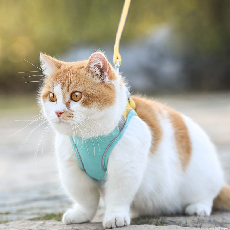 HKM-084435 Stylish Cat Vest Harness with Anti-Stroke Design for Safe Walking