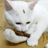 HKM-085203 2 Pcs MatatabiStick Catnip Chew Sticks Pet Kitten Cleaning Teeth Healthy Care
