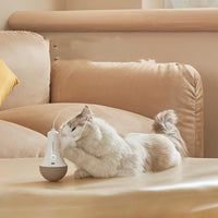 HKM-085395 Electric Cat Toy with Intelligent Tumbler Design and Automatic Shut-off Function