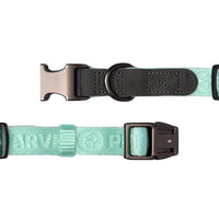 HKM-086099 Adjustable Neoprene Padded Dog Collar with Side-Release Buckle and D-Ring, 1 in Wide