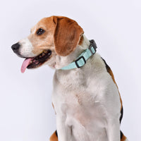 HKM-086099 Adjustable Neoprene Padded Dog Collar with Side-Release Buckle and D-Ring, 1 in Wide