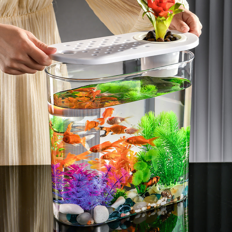 HKM-086419 Medium Acrylic Transparent Ecological Incubator for Goldfish and Hydroponics