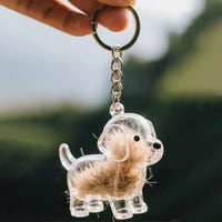 HKM-088723 Transparent Fur Storage Box for Puppies - Adorable Decorative Keepsake and Dust-Proof Hanging Ornament