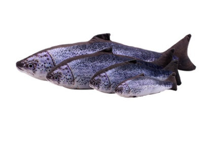 HKM-090387 Plush Cat Toy Fish Pillow - Soft, Non-Toxic Catnip-Filled Fish Design in Multiple Colors and Sizes