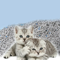 HKM-092179 Tofu Cat Litter with Activated Charcoal for Odor Control - 6L Bag