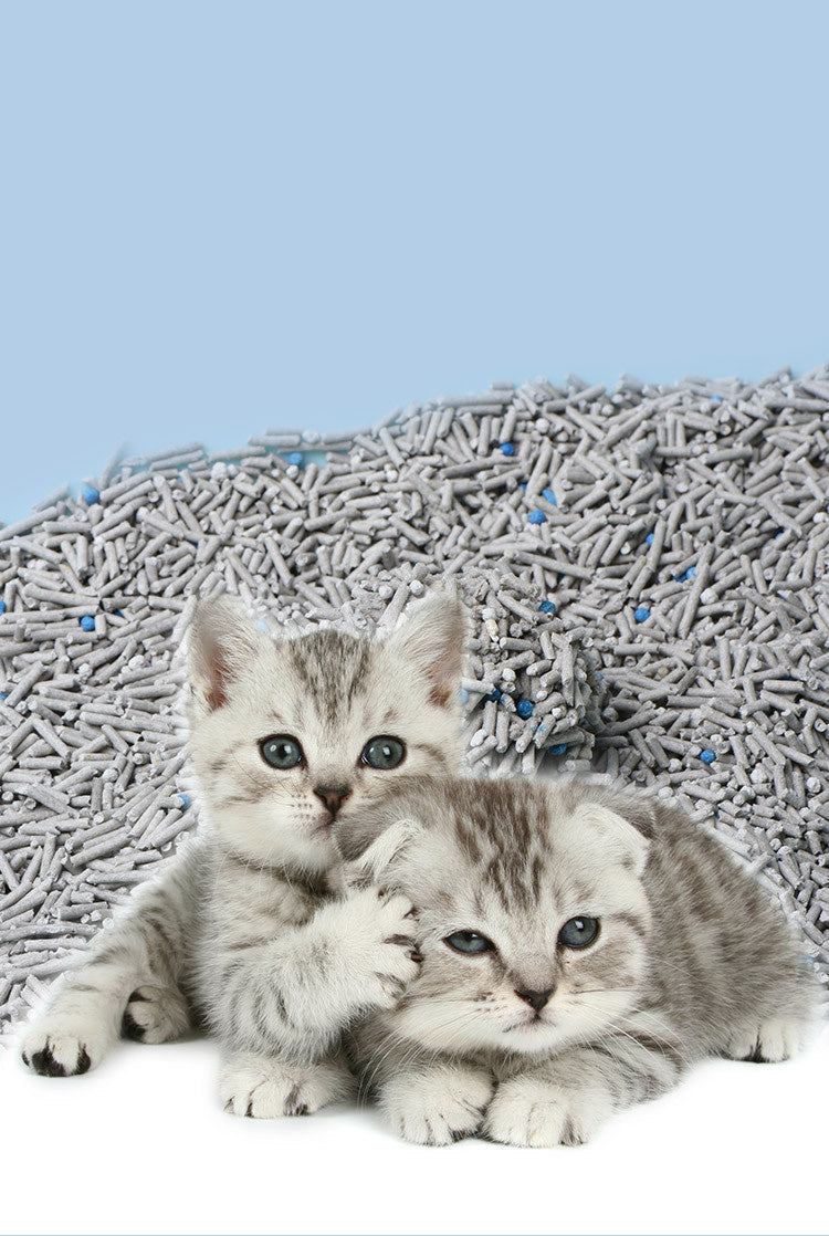 HKM-092179 Tofu Cat Litter with Activated Charcoal for Odor Control - 6L Bag