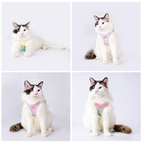 HKM-092691 Colorful Leather Cat Harness and Leash Set - Available in Pink, Purple, and Cloud Blue