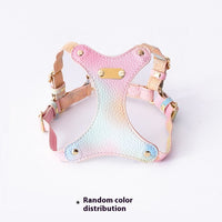 HKM-092691 Colorful Leather Cat Harness and Leash Set - Available in Pink, Purple, and Cloud Blue