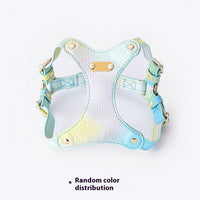HKM-092691 Colorful Leather Cat Harness and Leash Set - Available in Pink, Purple, and Cloud Blue