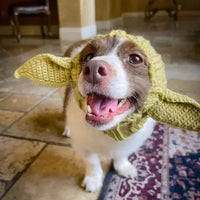 HKM-093651 Warm Windproof Knitted Dog Hat in Various Animal Designs for All Seasons