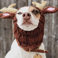 HKM-093651 Warm Windproof Knitted Dog Hat in Various Animal Designs for All Seasons