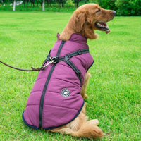 HKM-093971 Warm Hooded Coat for Small Dogs - Waterproof Jacket for Winter, Reflective Design and Adjustable Strap, Ideal for Chihuahuas and Pugs