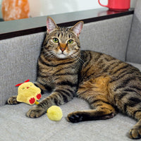 HKM-094483 Interactive Catnip Toys with Silvervine Fruit, Plush Spring Fuzzy Ball for Kittens Teething and Playtime