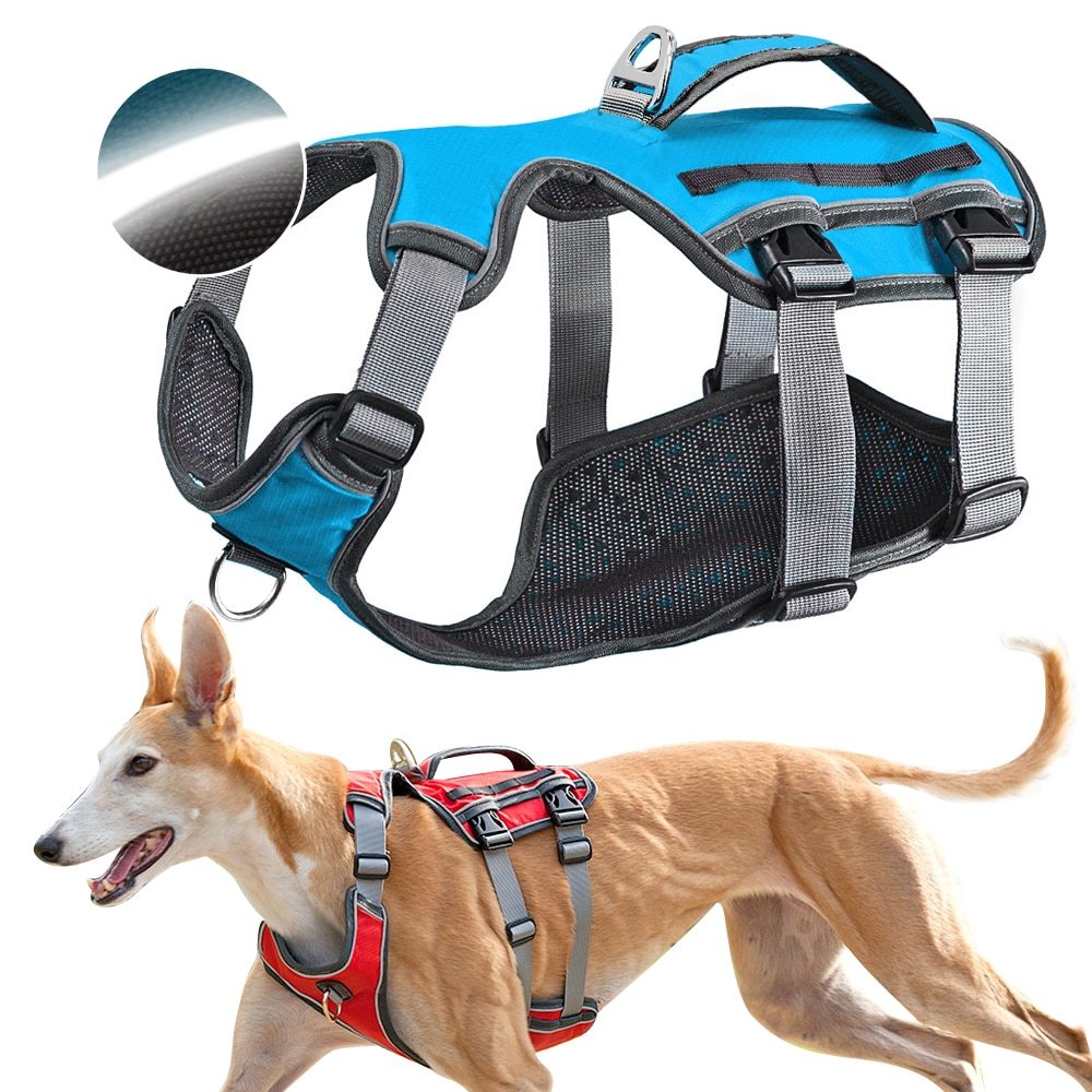 HKM-094995 Water-Repellent Polyester Thoracolumbar Support for Dogs