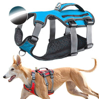 HKM-094995 Water-Repellent Polyester Thoracolumbar Support for Dogs