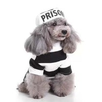 HKM-095059 Festive Knitted Pet Sweater with Hat - Size S, M, L, XL, Casual Style
