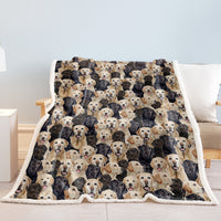 HKM-095123 Labrador Retriever Sherpa Fleece Blanket - Soft, Warm, and Durable Throw for Home and Travel