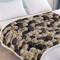 HKM-095123 Labrador Retriever Sherpa Fleece Blanket - Soft, Warm, and Durable Throw for Home and Travel