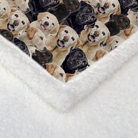 HKM-095123 Labrador Retriever Sherpa Fleece Blanket - Soft, Warm, and Durable Throw for Home and Travel