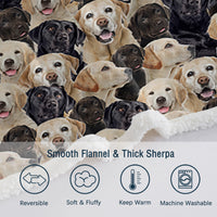 HKM-095123 Labrador Retriever Sherpa Fleece Blanket - Soft, Warm, and Durable Throw for Home and Travel