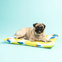 HKM-095187 Pet Ice Pad Cooling Pad Gel Cooling Sleeping Pad Non-Sticky Dog Pad