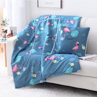 HKM-095763 Multifunctional Aloe Cotton Air-Conditioning Quilt Pillow for Home, Office, Sofa, and Car