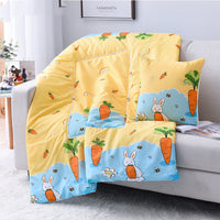 HKM-095763 Multifunctional Aloe Cotton Air-Conditioning Quilt Pillow for Home, Office, Sofa, and Car