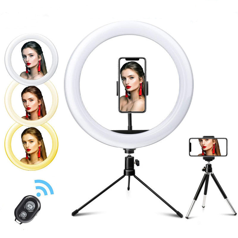 HKM-097171 10-Inch Metal Desktop Bracket Fill Light with Remote Control, 3 Light Modes & 10 Brightness Levels
